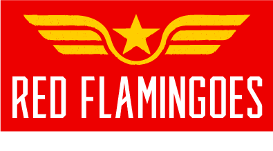 The Red Flamingoes powered by Digit FMS logo